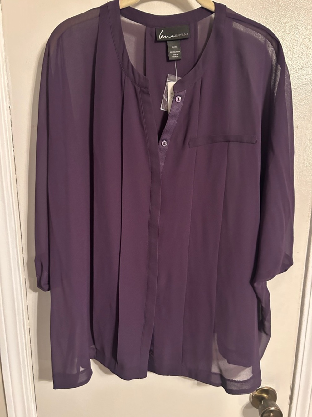 Lavender Plum Sheer Button-Front Shirt Blouse
